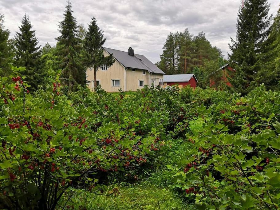 Mukava Mummonmoekki Maaseudun Rauhassa Villa Koivu Exterior photo